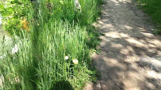 Пещерский водопад, собственно персоной.