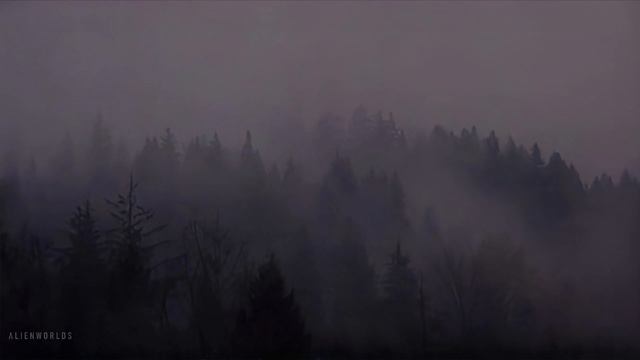Twin Peaks V3 ｜ Ambient Soundscape