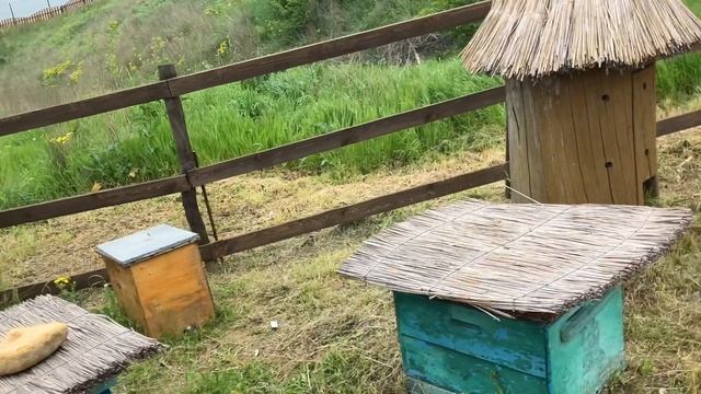 Изучение локаций и улочек в этно станице - Выставочный комплекс «Атамань» в Краснодарском крае