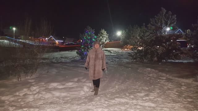 Встреча Нового года в Мещерском крае
