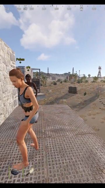 RUST  ОПГ