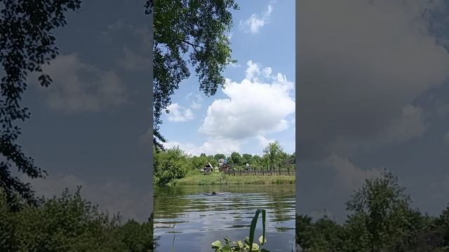07-06-2025