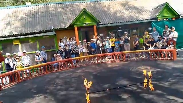 1000066884.mp4