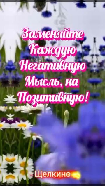 Доброе утро. Чудесного дня. ВидеоОткрытка