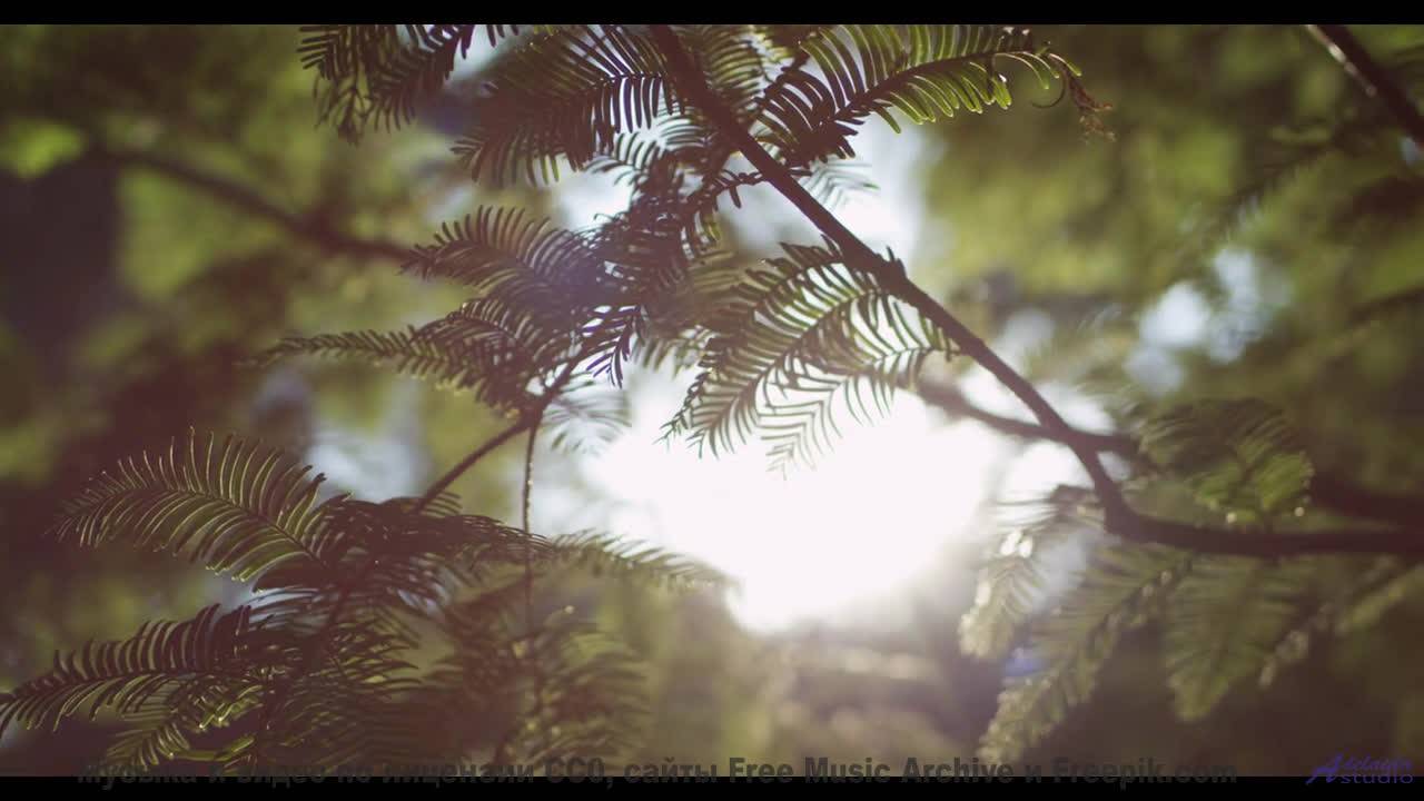 Послушай эта музыка усиливает каждое мгновение - Penthouse -- SUPERARE -- III