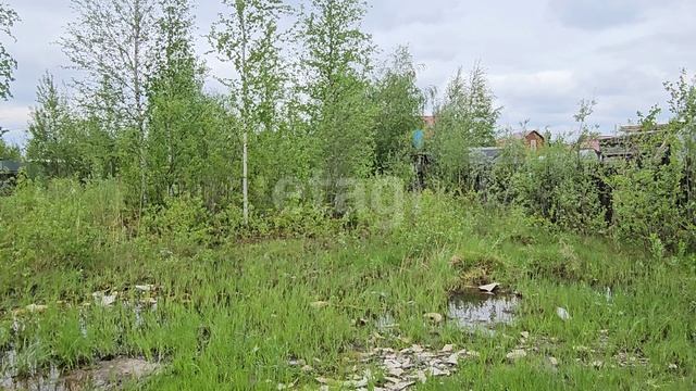 8203269 Возрождение