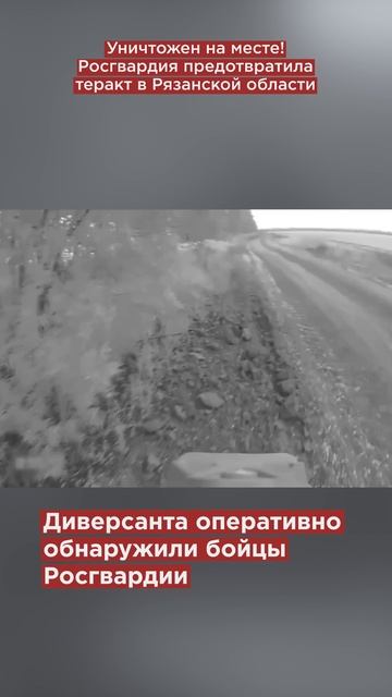 Уничтожен на месте! Росгвардия предотвратила теракт в Рязанской области