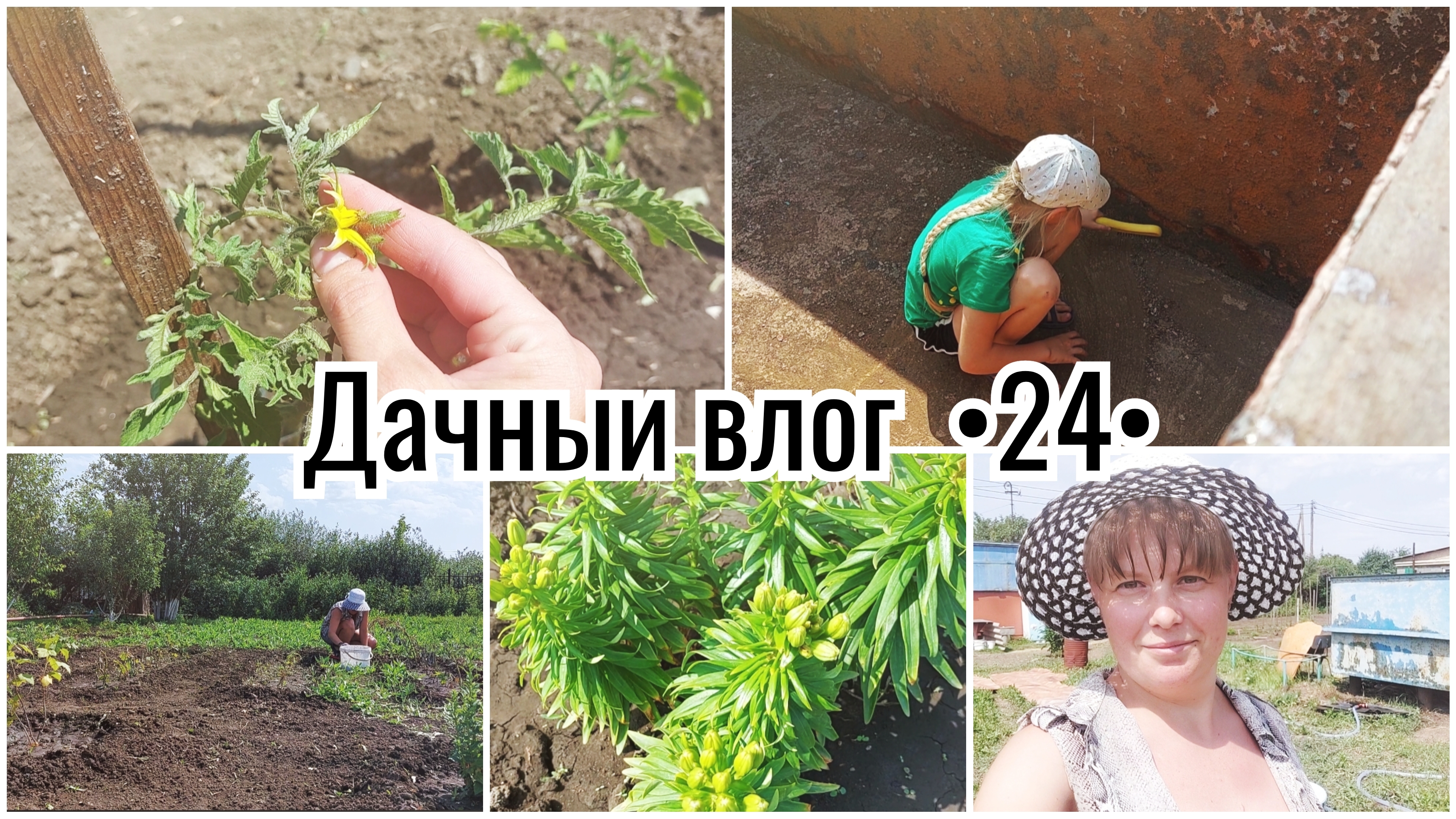 НАВОЖУ ПОРЯДОК В САДУ 🔥 СПАСАЕМСЯ ОТ ЖАРЫ // ИЗМЕНЕНИЯ В ВИКТОРИИ