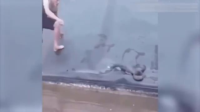 Топ приколы №1