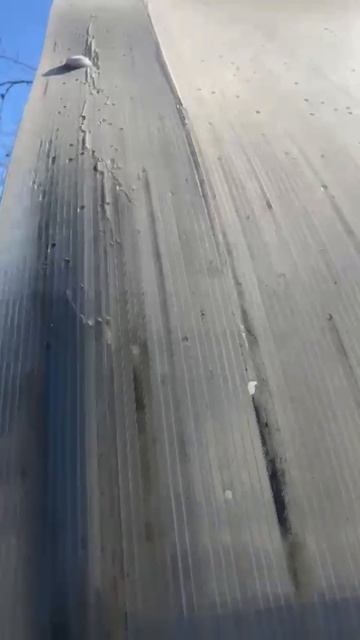 Замена поликарбоната на теплице