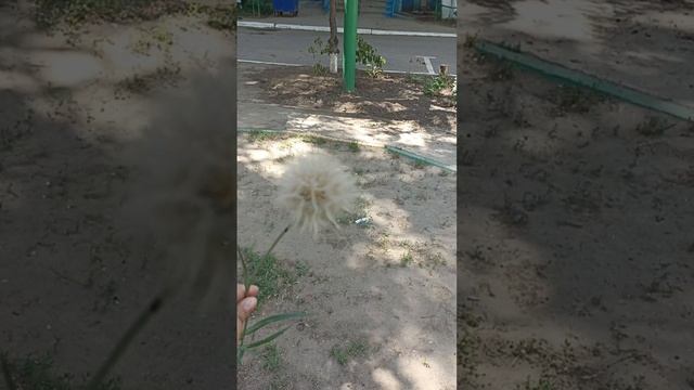 Рабочая Практика ☝️