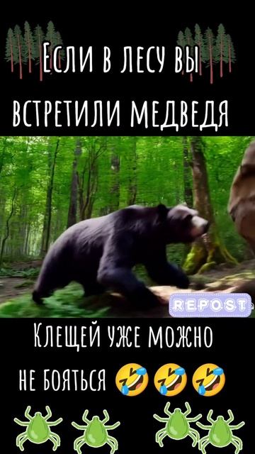 Когда боишься клещей 🤣😄🤣