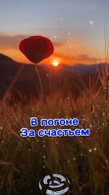 Чудесного утра всем. Доброе утро.ВидеоОткрытка