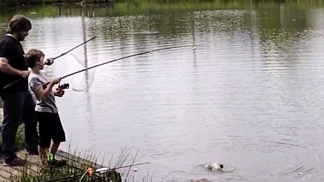 Светлые Горы Карп 07.06.2025г.