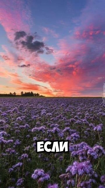 Почему неврологи об этом молчат?