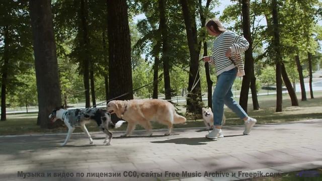 Этот микс запрещён в 5 странах! (шутка) - ReTrained -- Greg Atkinson -- All Behind Me