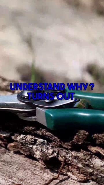 Ever wonder why homemade safe natural weed killer options seem to fail? They often only burn the...