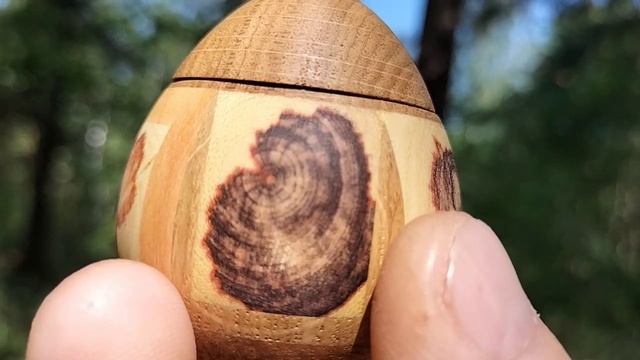 Шкатулка в июньском лесу на старом дубе