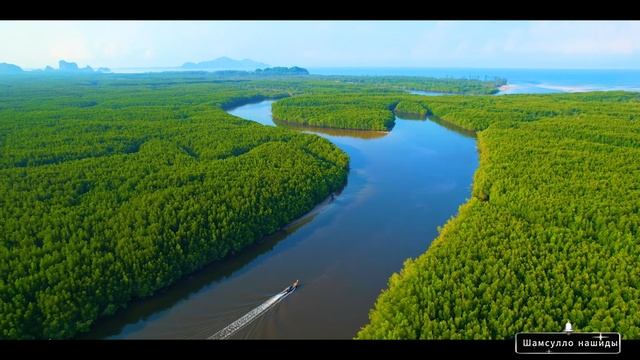 #Коран#Худ#СамыеКрасивыеМеста#Relaxation##Islam#Quran#Hood#Minshawiy 4кВидео#18часть#