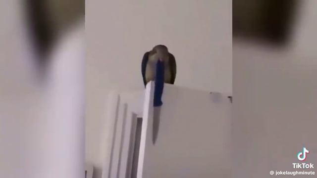 1000099429.mp4