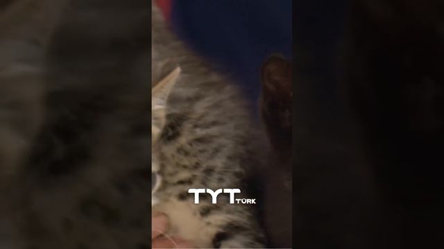 СРОЧНЫЕ НОВОСТИ ТУРЦИИ