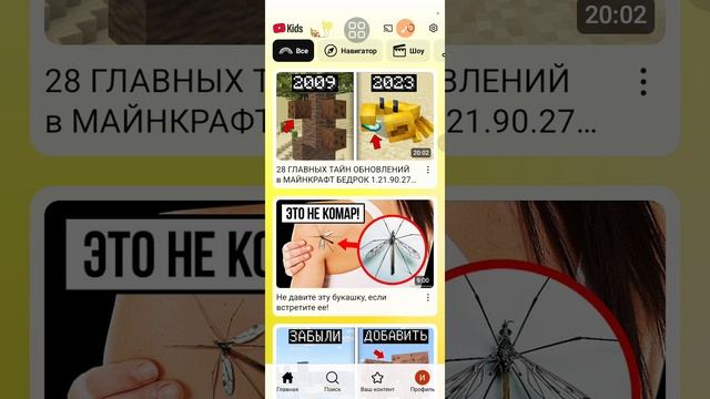 это видео Я снял по приколу
