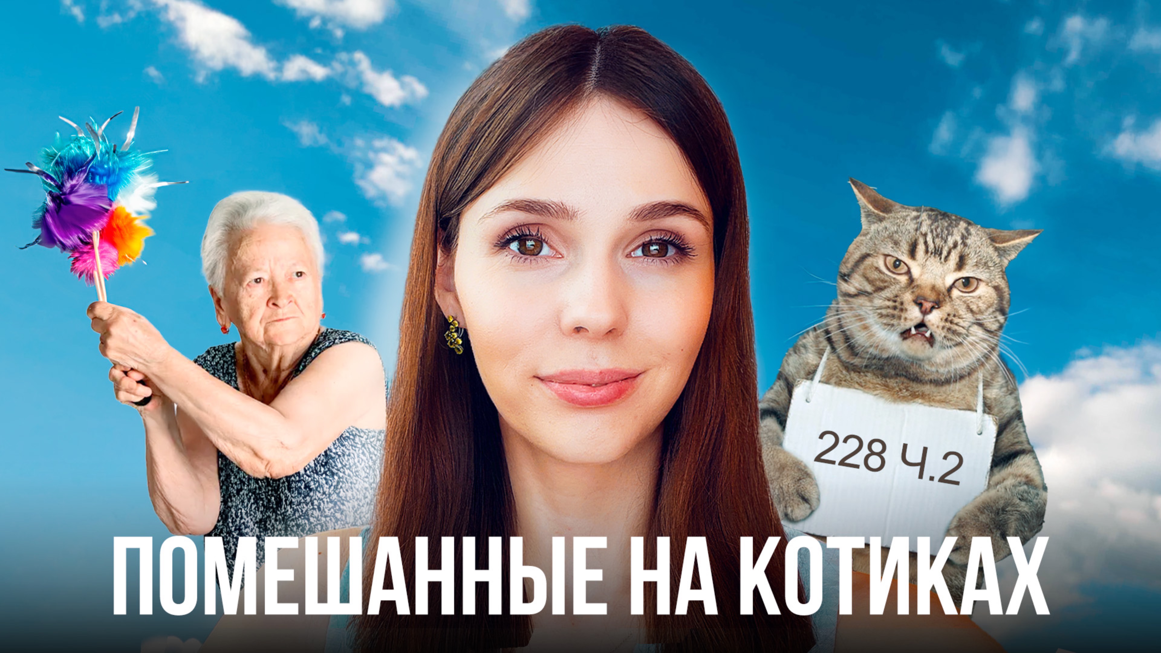 Коты-преступники и штраф 5000 евро для кошатницы | Кошачий Взгляд №3