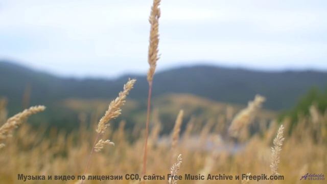 Мелодия, которую слышно только в полночь. - 20 Minute Meditation 2 -- HoliznaCC0 -- Space - Sleep -