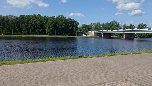 Творческая мастерская чтеца.