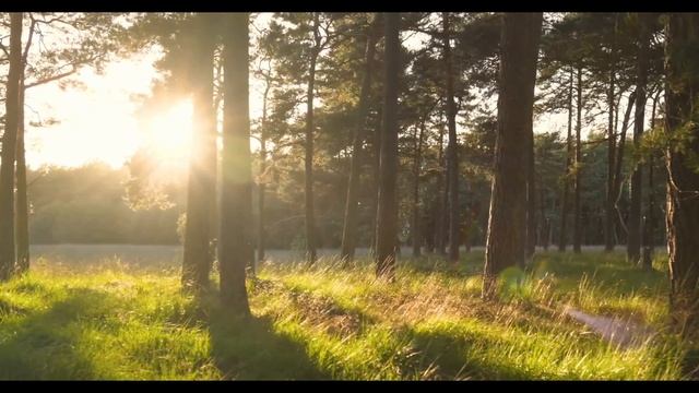 ТРОИЦА - НЕ ДЕЛАЙТЕ ТАК. Потеряете судьбу.