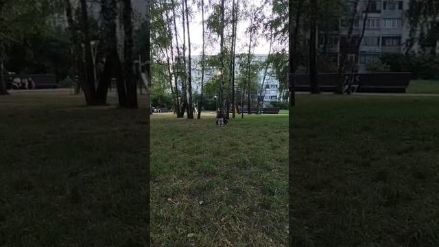 маркус и Селена
