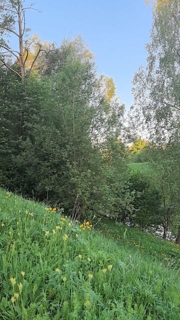 Природа просыпается.