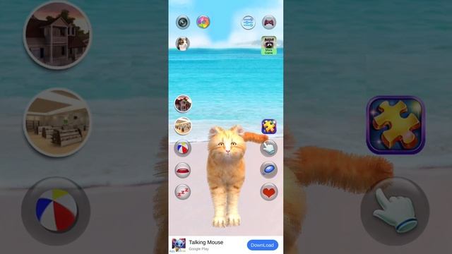 рыжый кот 🐈🐱