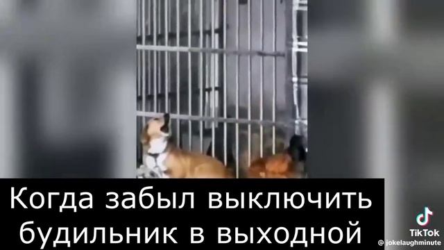 1000099424.mp4