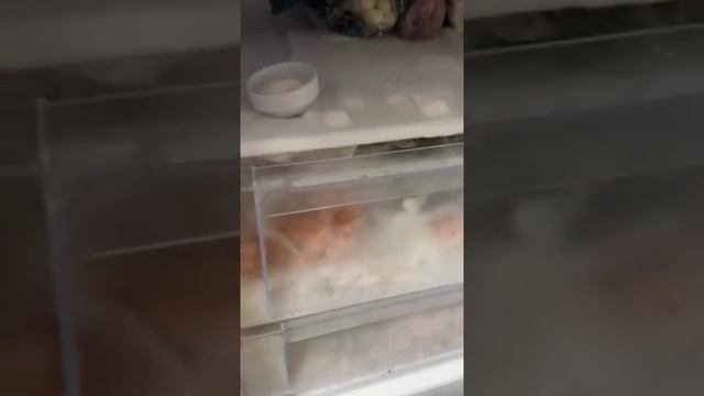 VID_20250607_103533_906