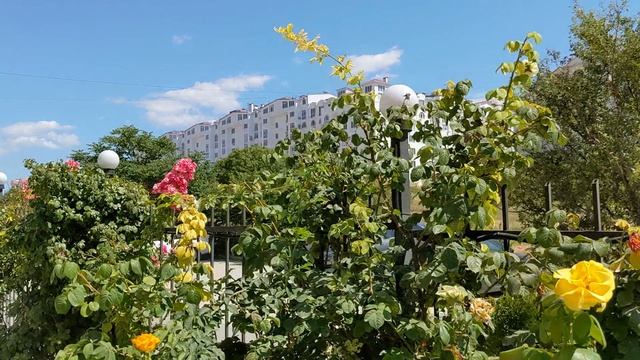 Севастополь, район Омега