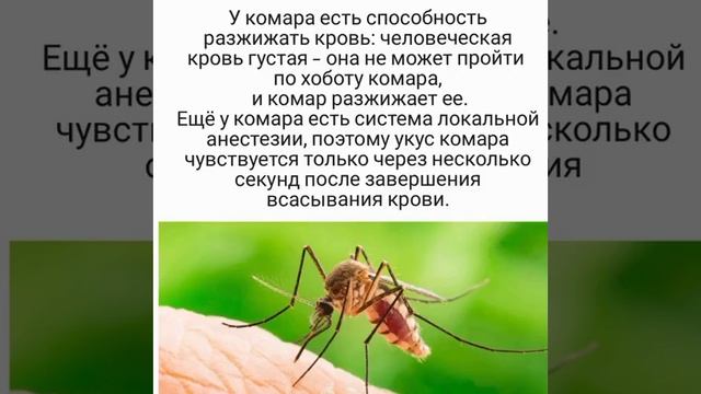 1000007593.mp4здл