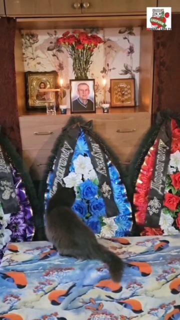 А сегодня самая важная из всех Троицкая родительская суббота 😇🌈💓🙏😽