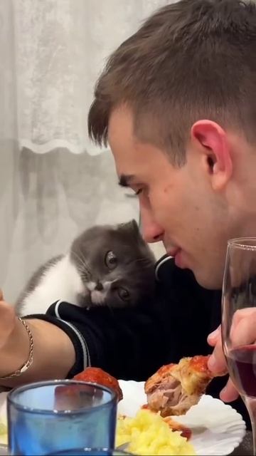 Ты ж моя курочка
