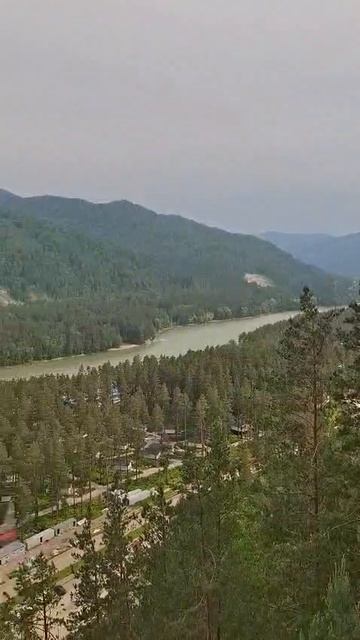 Новая смотровая площадка на Бирюзовой Катуни 🌊🏞️