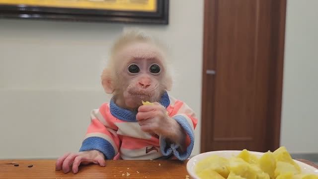 Обезьянка крошка БУКАШКА одна дома Полазила високо Повисела Села и поела СМЕШНАЯ МИЛОТА