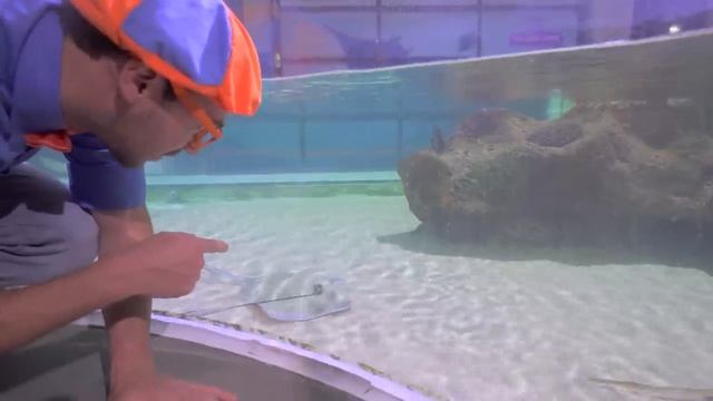 Блиппи (Blippi) - Блиппи посещает игровую зону в помещении   Изучай этот мир вместе   Обучающие виде