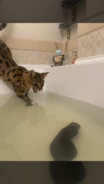 охотник
