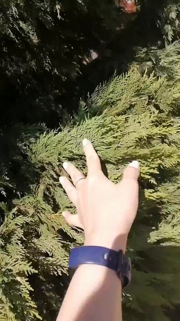 МЫ ЦЕНИМ ЛИШЬ ТОГДА, КОГДА ТЕРЯЕМ🥺