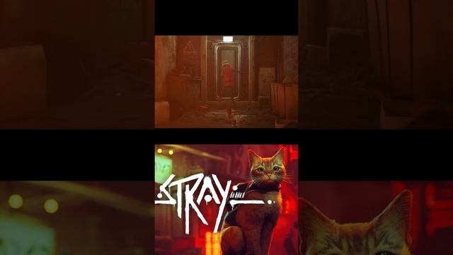 Прямой эфир Игра  "Stray"  играем за  бродячего кота , кото?