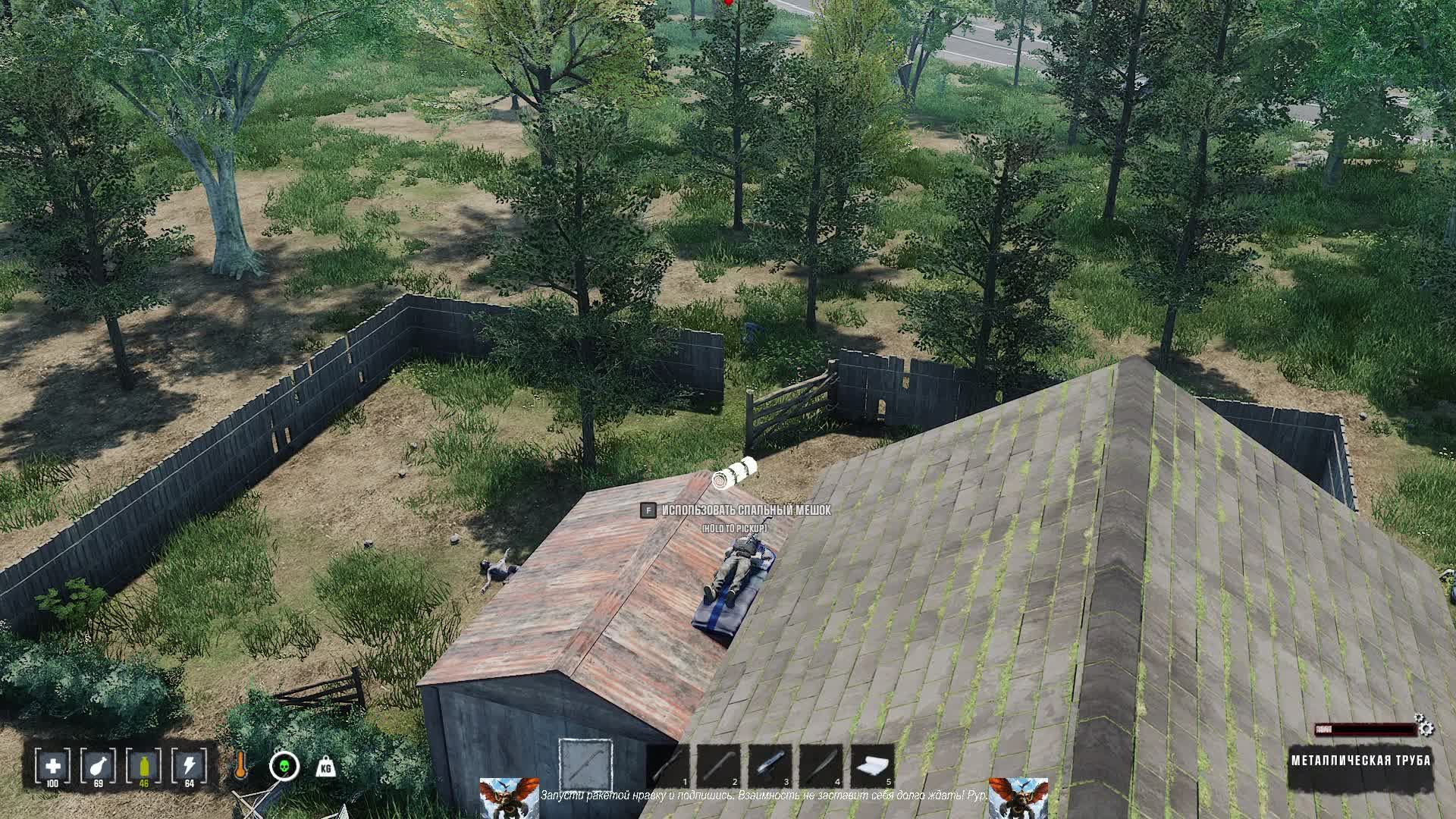 Humanit Z Rus1981Z 159 День.
