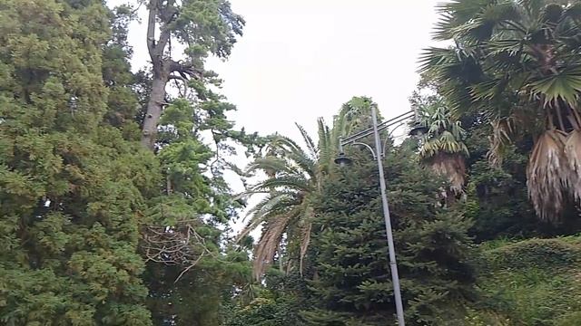 1000001048.mp4