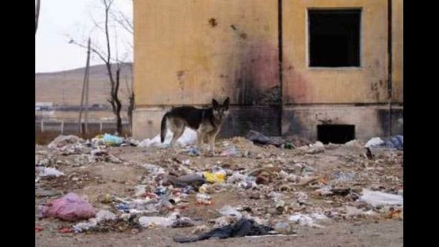 Братство ЗабВО. Архив фото -  www.zabvo.ru