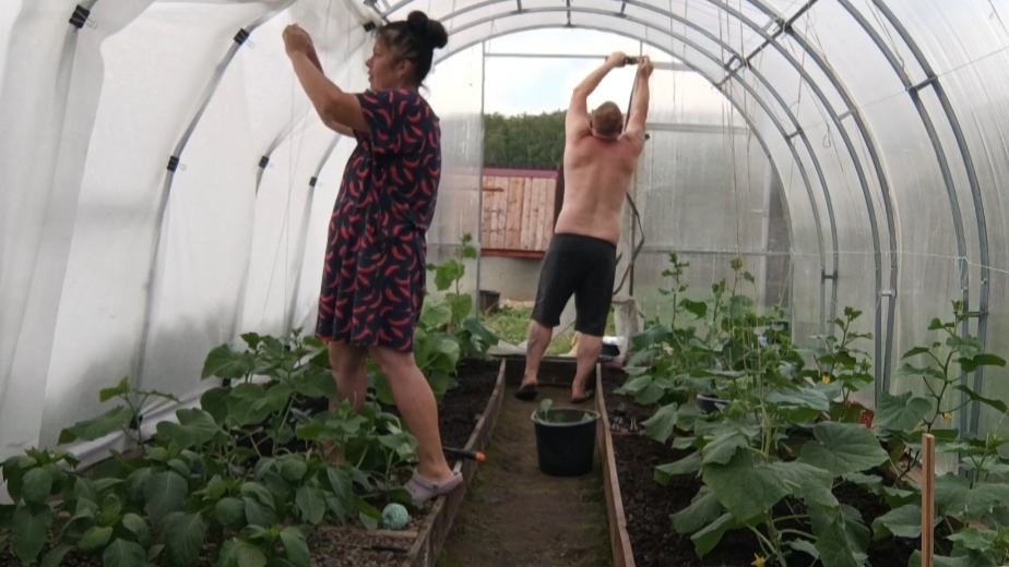 (2025)Целый день в огурцах 🥒. Зато порядок 🤗Часть 1