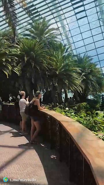 Сингапур